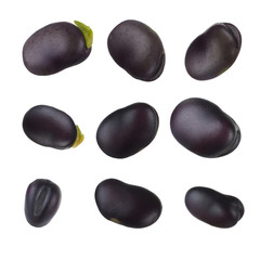 set of beans isolated on white background