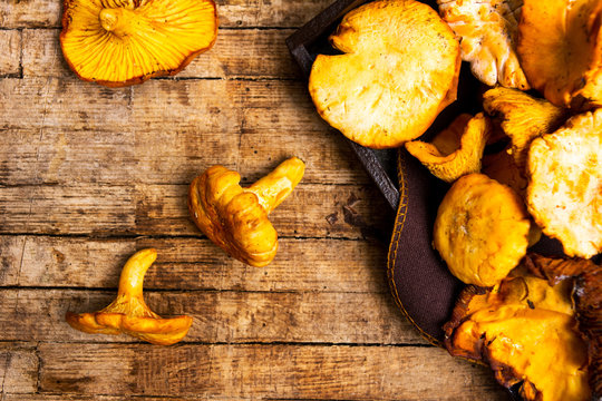 Golden chanterelle mushrooms on a table