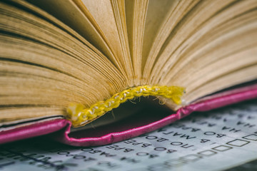 open book with pages - literature and education