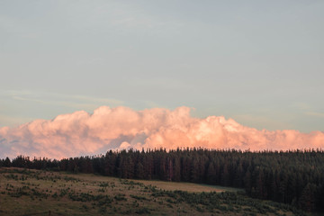 Colorful sunset in mountains with Fir tree against pink to orange evening sky and blue mountains