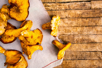 Golden chanterelle mushrooms on a table