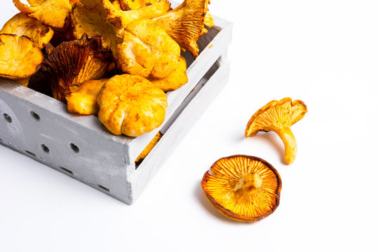 Golden chanterelle mushroom on a table