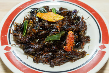 beef with vegetables