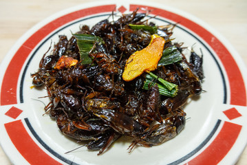 beef with sauce and vegetables