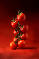 VINE TOMATOES