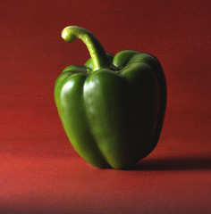 GREEN PEPPER