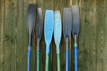 Several oars for a rowing boat stand against a wooden wall. The wall is green. Background. © Анатолий Еремин