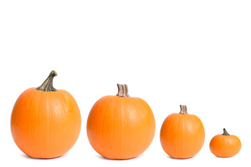 family of pumpkins isolated on white background