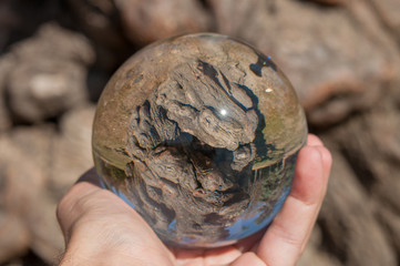 A glass ball of nature