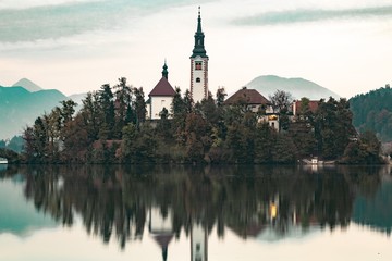 Bled