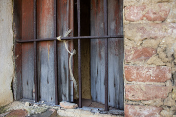 Old winowd closed by bars