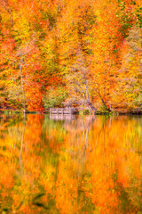 Yedigoller National Park - Bolu, Turkey