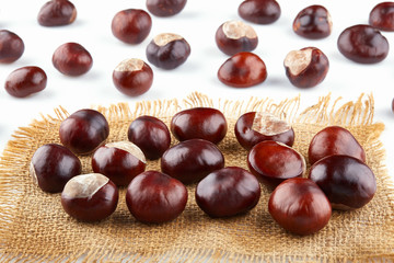 Many peeled chestnuts lie on hessian. Horse-chestnuts