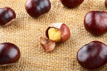 Many peeled chestnuts lie on hessian. Horse-chestnuts