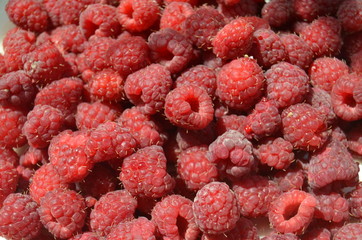 raspberry