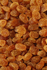 SULTANAS