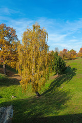 Autumn landscape in Tsaritsyno park, Moscow, Russia