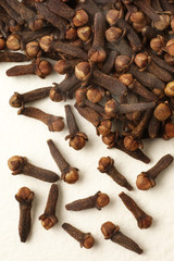 CLOVES