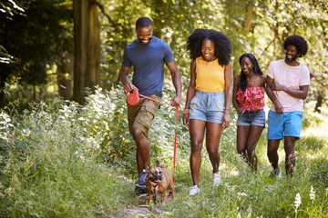 Two black couples walking with a dog in a forest