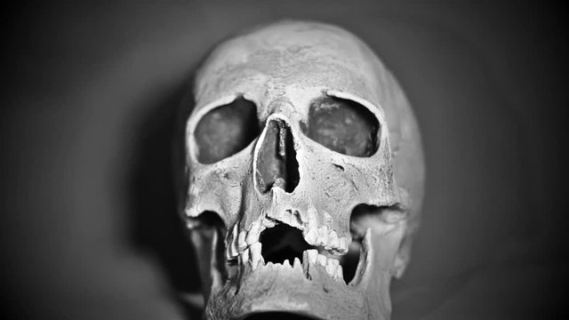 Halloween. Black and white human skull on a gray background.