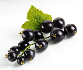 BLACKCURRANTS