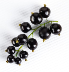 BLACKCURRANTS