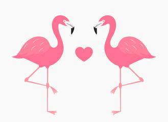 Couple of pink flamingos in love