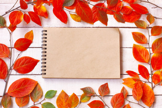autumn background with branches and colorful autumnal leaves, notebook for notes