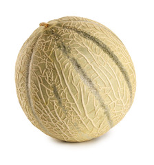 Obraz premium CANTALOUPE MELON