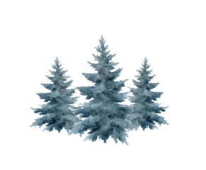 Christmas tree isolated on white background.Watercolor illustration.