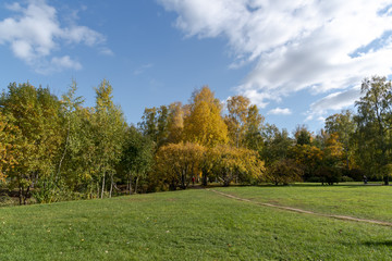 Autumn landscape