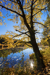 Paesaggio autunnale di montagna con fiume