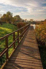Fototapeta na wymiar Lake Zgorzala in district Ursynow at autumn, Warsaw, Poland