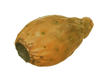 yellow opuntia fruit isolated on white background