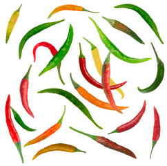 color chili peppers background on white
