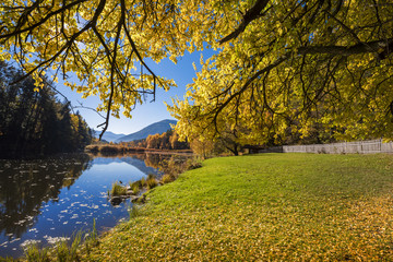 Ambiente di montagna con fiume in autunno