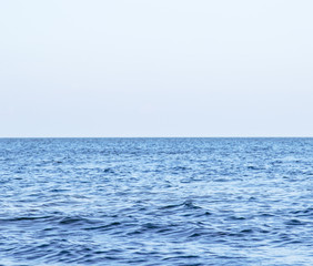 Water wave in tropical sea