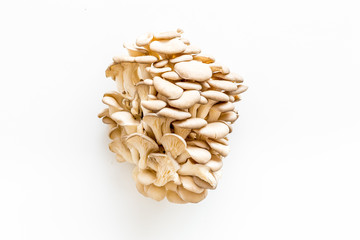 Oyster mushroom. Fresh raw veshenka on white background top view space for text