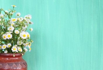 White flower in vase on green background