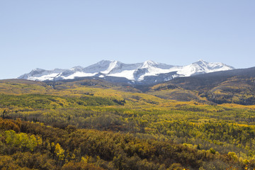 Autumn colors in Gunnison National Forest on Kebler Pass, with snowed-covered East Beckwith Mountain in the distance.