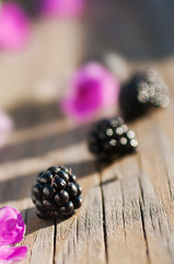 Blackberries on a wooden table on a sunny day.