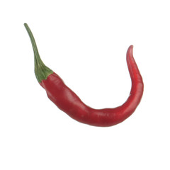 red hot chili pepper isolated on white background