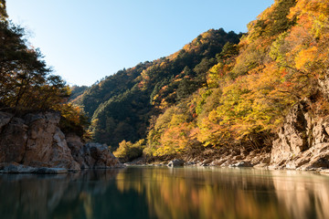 Leaf color change in Japan Autumn at Ryuokyo Canyon