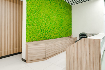 Russia, Novosibirsk - August 16, 2018: decorative moss for interior decoration. office style,...