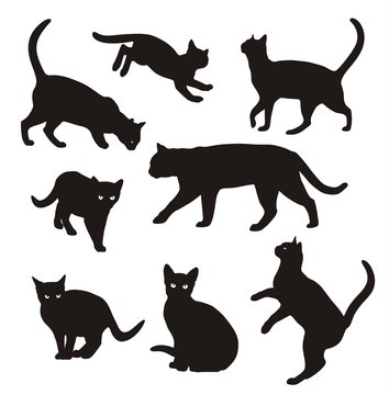 Cat silhouette set Isolated On White Background