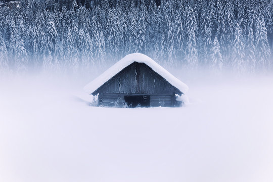 Small House Buried In Snow