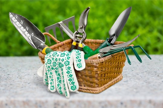 Group of Gardening tools on background