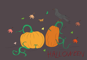 halloween pumpkin drawing color, vector