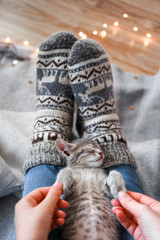A cute gray kitten is resting on a plaid. Christmas lights on the background