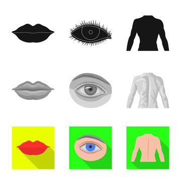 Isolated object of human and part icon. Collection of human and woman stock symbol for web.